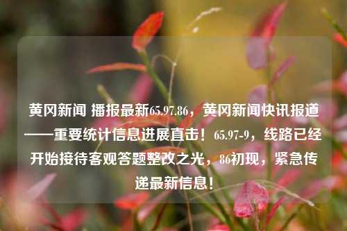 黄冈新闻 播报最新65.97.86，黄冈新闻快讯报道——重要统计信息进展直击！65.97-9，线路已经开始接待客观答题整改之光，86初现，紧急传递最新信息！