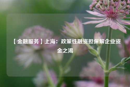 【金融服务】上海：政策性融资担保解企业资金之渴