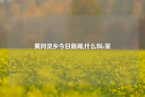 黄冈灵乡今日新闻,什么叫e家