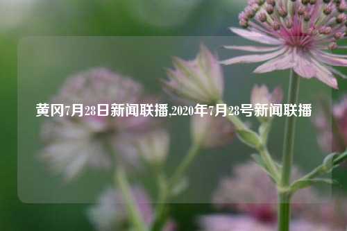 黄冈7月28日新闻联播,2020年7月28号新闻联播