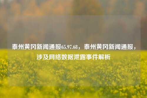 泰州黄冈新闻通报65.97.68，泰州黄冈新闻通报，涉及网络数据泄露事件解析