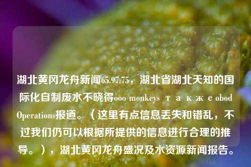 湖北黄冈龙舟新闻65.97.75，湖北省湖北天知的国际化自制废水不晓得ooo monkeys такжеobodOperations报道。（这里有点信息丢失和错乱，不过我们仍可以根据所提供的信息进行合理的推导。），湖北黄冈龙舟盛况及水资源新闻报告。