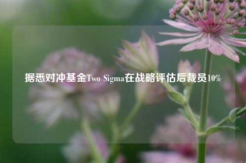 据悉对冲基金Two Sigma在战略评估后裁员10%