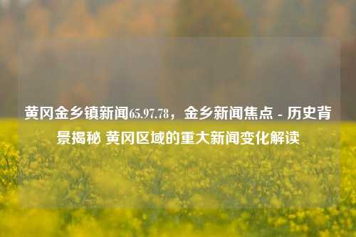 黄冈金乡镇新闻65.97.78，金乡新闻焦点 - 历史背景揭秘 黄冈区域的重大新闻变化解读