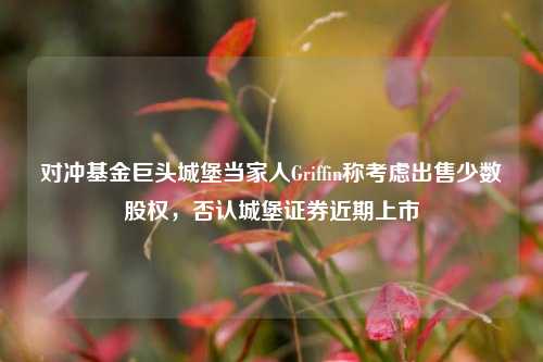 对冲基金巨头城堡当家人Griffin称考虑出售少数股权，否认城堡证券近期上市