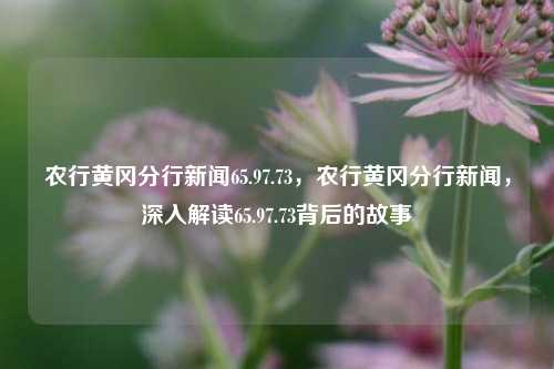 农行黄冈分行新闻65.97.73，农行黄冈分行新闻，深入解读65.97.73背后的故事