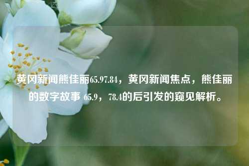 黄冈新闻熊佳丽65.97.84，黄冈新闻焦点，熊佳丽的数字故事 65.9，78.4的后引发的窥见解析。