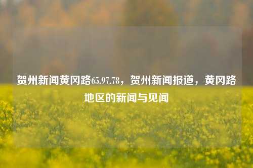 贺州新闻黄冈路65.97.78，贺州新闻报道，黄冈路地区的新闻与见闻