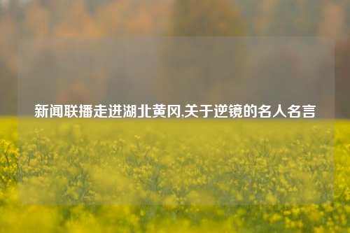 新闻联播走进湖北黄冈,关于逆镜的名人名言