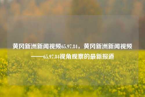 黄冈新洲新闻视频65.97.84，黄冈新洲新闻视频——65.97.84视角观察的最新报道