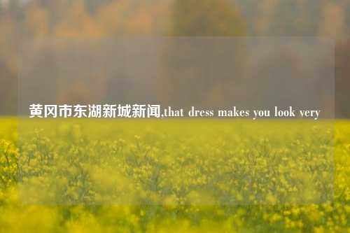 黄冈市东湖新城新闻,that dress makes you look very