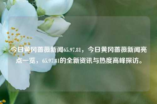 今日黄冈蔷薇新闻65.97.81，今日黄冈蔷薇新闻亮点一览，65.97.81的全新资讯与热度高峰探访。