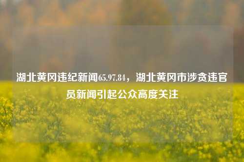 湖北黄冈违纪新闻65.97.84，湖北黄冈市涉贪违官员新闻引起公众高度关注