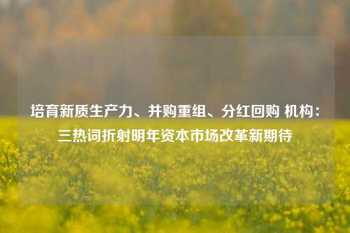 培育新质生产力、并购重组、分红回购 机构：三热词折射明年资本市场改革新期待