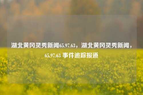 湖北黄冈灵秀新闻65.97.63，湖北黄冈灵秀新闻，65.97.63 事件追踪报道