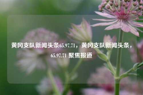 黄冈支队新闻头条65.97.71，黄冈支队新闻头条，65.97.71 聚焦报道