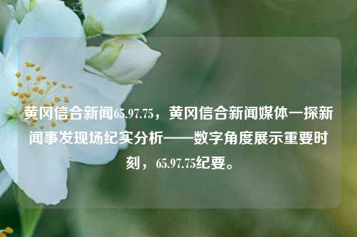 黄冈信合新闻65.97.75，黄冈信合新闻媒体一探新闻事发现场纪实分析——数字角度展示重要时刻，65.97.75纪要。