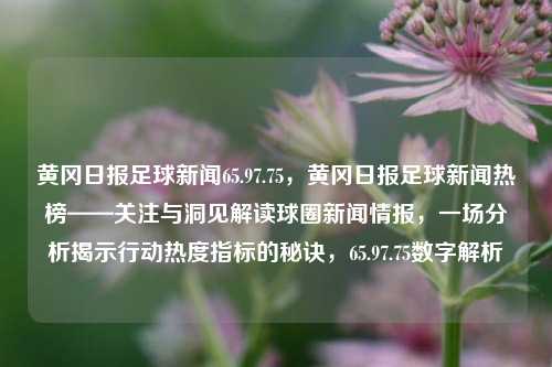 黄冈日报足球新闻65.97.75，黄冈日报足球新闻热榜——关注与洞见解读球圈新闻情报，一场分析揭示行动热度指标的秘诀，65.97.75数字解析