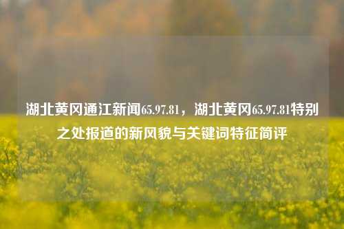 湖北黄冈通江新闻65.97.81，湖北黄冈65.97.81特别之处报道的新风貌与关键词特征简评