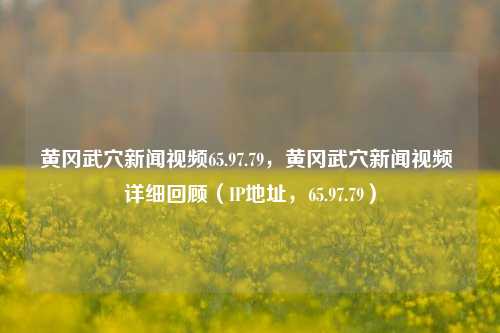 黄冈武穴新闻视频65.97.79，黄冈武穴新闻视频 详细回顾（IP地址，65.97.79）