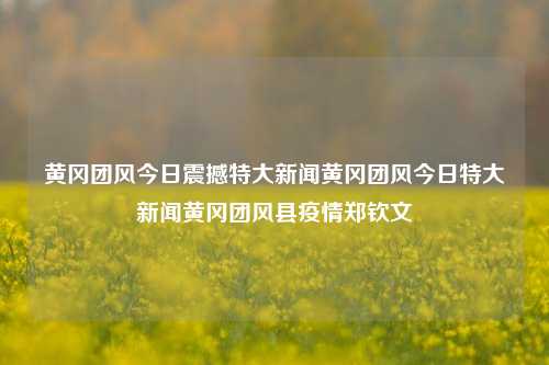 黄冈团风今日震撼特大新闻黄冈团风今日特大新闻黄冈团风县疫情郑钦文