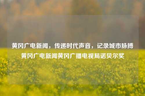 黄冈广电新闻，传递时代声音，记录城市脉搏黄冈广电新闻黄冈广播电视局诺贝尔奖