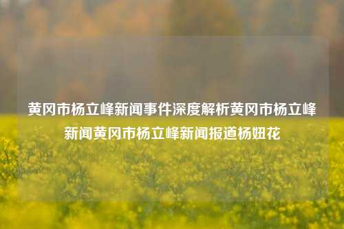 黄冈市杨立峰新闻事件深度解析黄冈市杨立峰新闻黄冈市杨立峰新闻报道杨妞花