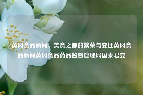 黄冈食品新闻，美食之都的繁荣与变迁黄冈食品新闻黄冈食品药品监督管理局国泰君安