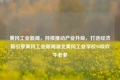 黄冈工业新闻，持续推动产业升级，打造经济新引擎黄冈工业新闻湖北黄冈工业学校98级吹牛老爹