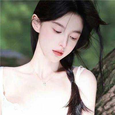 假元首秘纪
