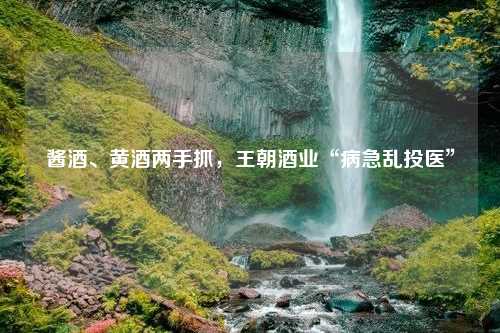 酱酒、黄酒两手抓，王朝酒业“病急乱投医”