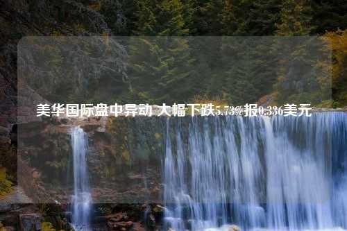 美华国际盘中异动 大幅下跌5.73%报0.336美元