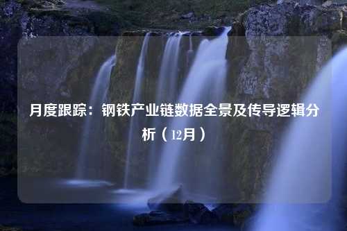 月度跟踪：钢铁产业链数据全景及传导逻辑分析（12月）