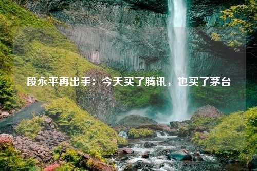 段永平再出手：今天买了腾讯，也买了茅台