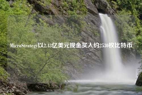 MicroStrategy以2.43亿美元现金买入约2530枚比特币