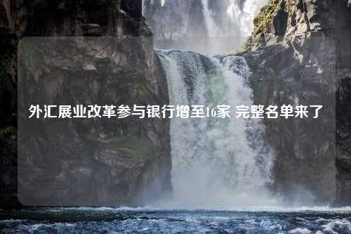 外汇展业改革参与银行增至16家 完整名单来了