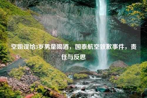 空姐误给3岁男童喝酒，国泰航空致歉事件，责任与反思