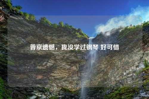 普京遗憾，我没学过钢琴 好可惜