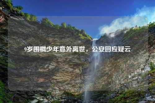 9岁围棋少年意外离世，公安回应疑云