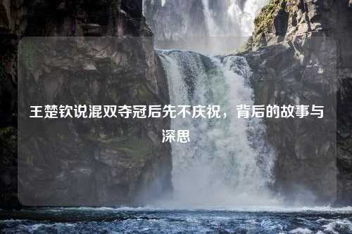 王楚钦说混双夺冠后先不庆祝，背后的故事与深思