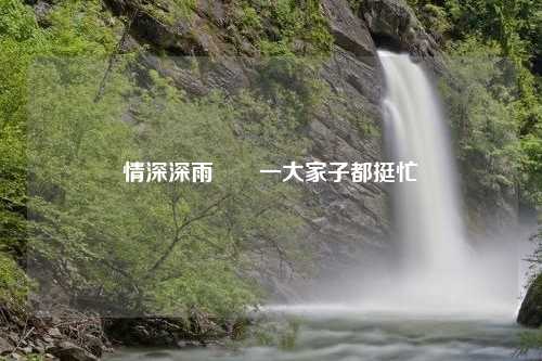情深深雨濛濛一大家子都挺忙