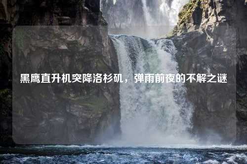 黑鹰直升机突降洛杉矶，弹雨前夜的不解之谜